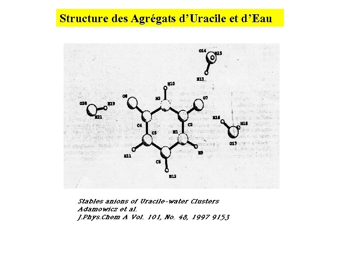 Structure des Agrégats d’Uracile et d’Eau 