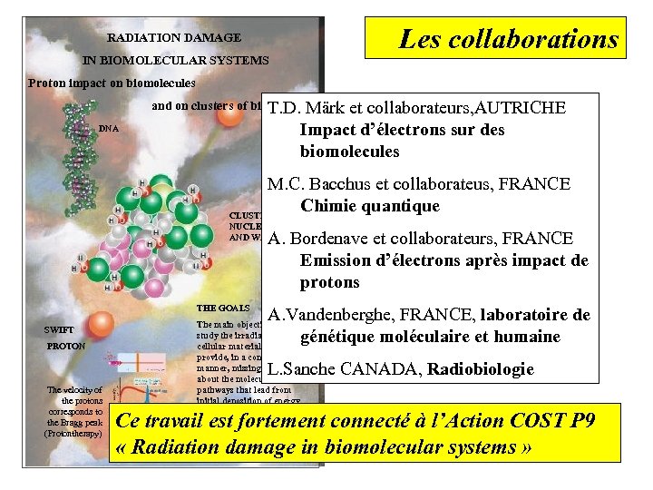 Les collaborations RADIATION DAMAGE IN BIOMOLECULAR SYSTEMS Proton impact on biomolecules and on clusters