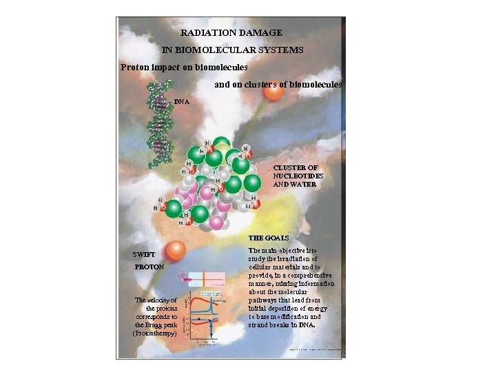 RADIATION DAMAGE IN BIOMOLECULAR SYSTEMS Proton impact on biomolecules and on clusters of biomolecules