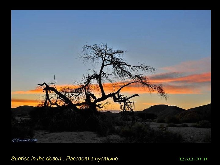 Sunrise in the desert. Рассвет в пустыне זריחה במדבר 