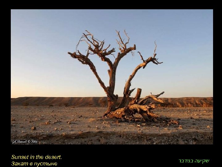 Sunset in the desert. Закат в пустыне שקיעה במדבר 