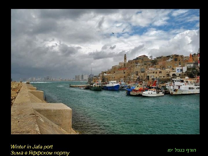 Winter in Jafa port Зима в Яффском порту חורף בנמל יפו 