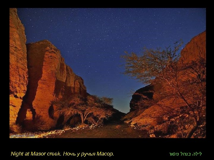 Night at Masor creek. Ночь у ручья Масор. לילה בנחל מסור 