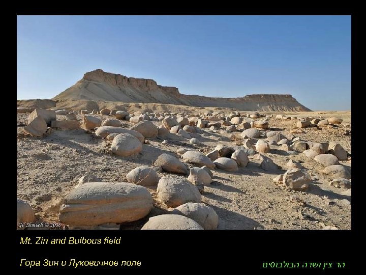 Mt. Zin and Bulbous field Гора Зин и Луковичное поле הר צין ושדה הבולבוסים