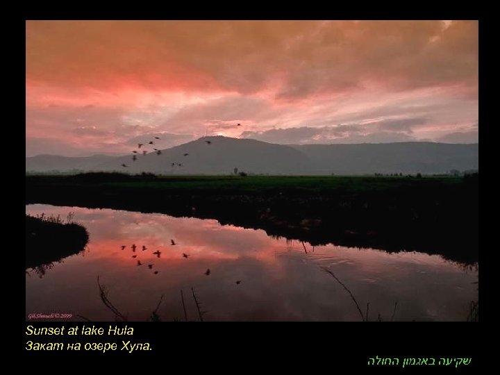 Sunset at lake Hula Закат на озере Хула. שקיעה באגמון החולה 