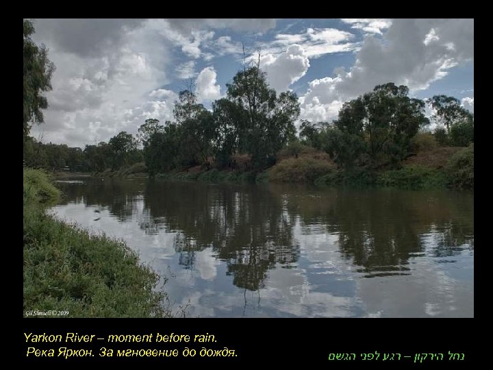 Yarkon River – moment before rain. Река Яркон. За мгновение до дождя. נחל הירקון
