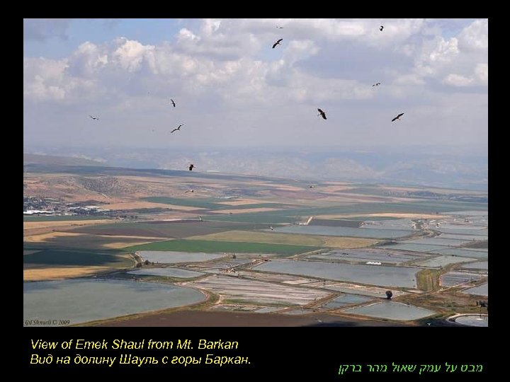 View of Emek Shaul from Mt. Barkan Вид на долину Шауль с горы Баркан.