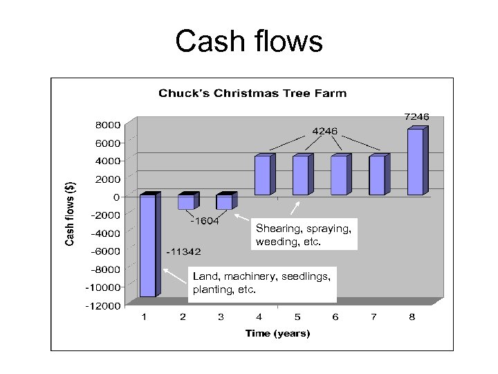 Cash flows Shearing, spraying, weeding, etc. Land, machinery, seedlings, planting, etc. 