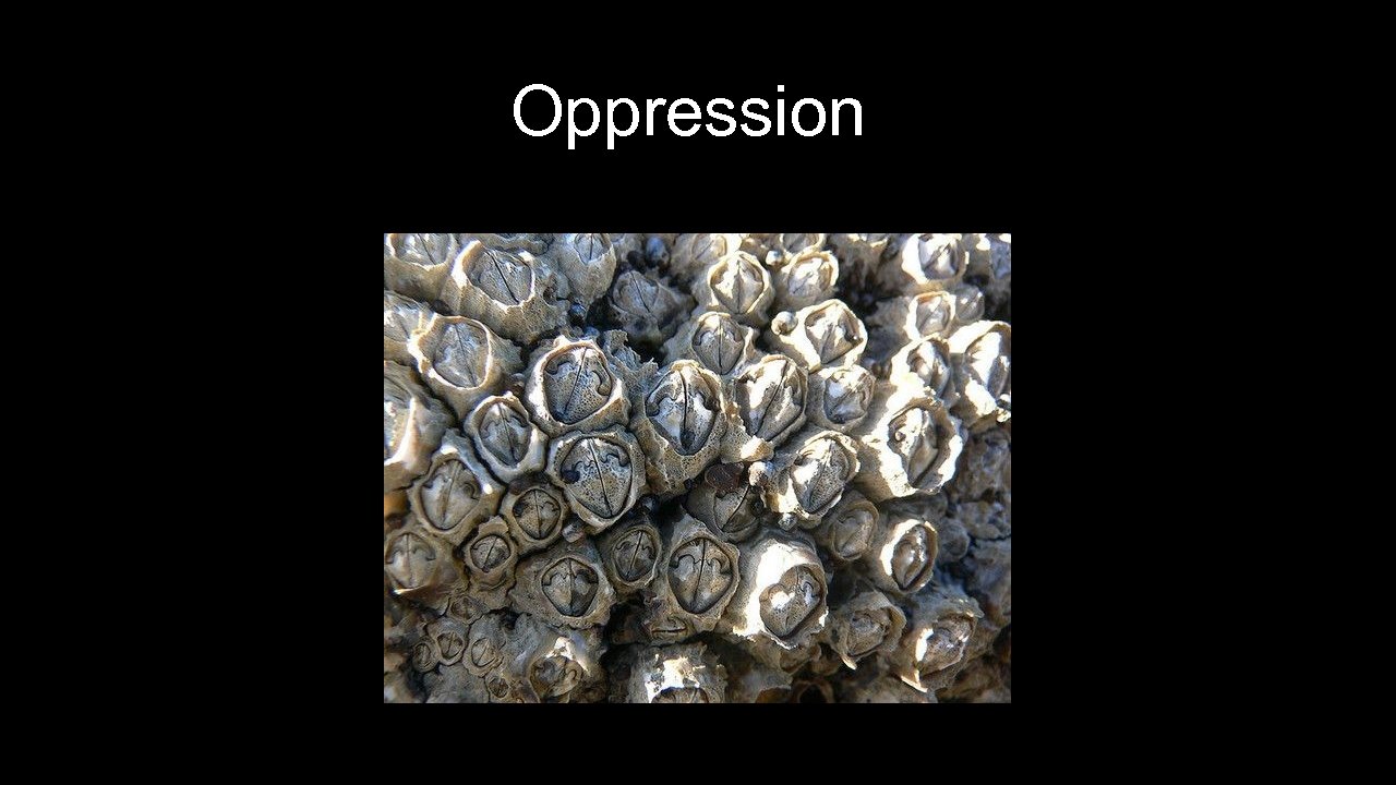 Oppression 