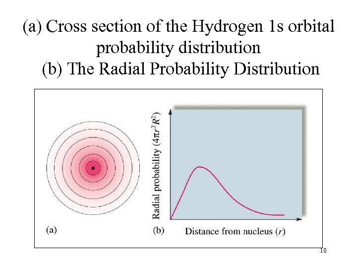 (a) Cross section of the Hydrogen 1 s orbital probability distribution (b) The Radial