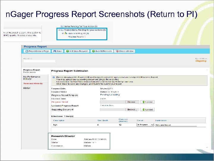 n. Gager Progress Report Screenshots (Return to PI) 