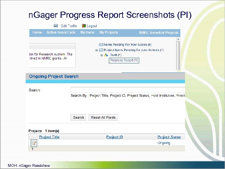 n. Gager Progress Report Screenshots (PI) MOH: n. Gager Roadshow 