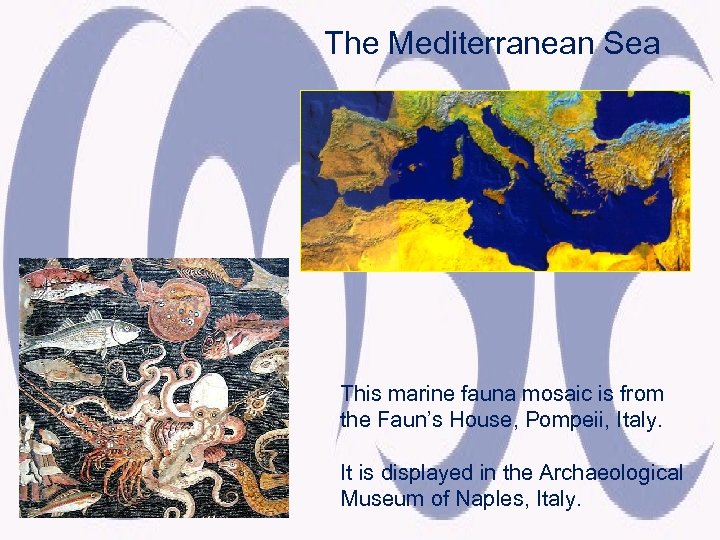 The Mediterranean Sea This marine fauna mosaic is from the Faun’s House, Pompeii, Italy.