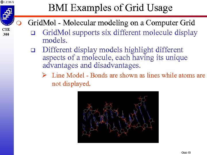 BMI Examples of Grid Usage m CSE 300 Grid. Mol - Molecular modeling on