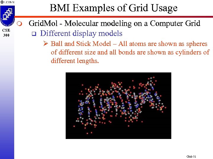 BMI Examples of Grid Usage m CSE 300 Grid. Mol - Molecular modeling on