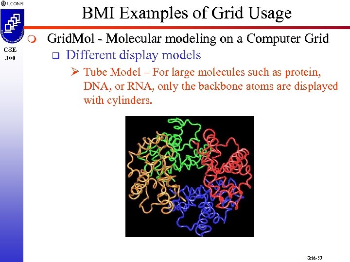 BMI Examples of Grid Usage m CSE 300 Grid. Mol - Molecular modeling on