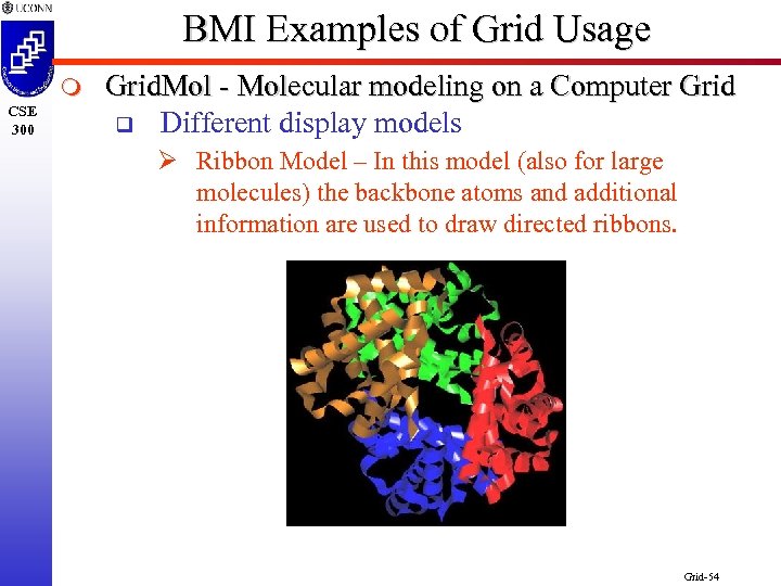 BMI Examples of Grid Usage m CSE 300 Grid. Mol - Molecular modeling on