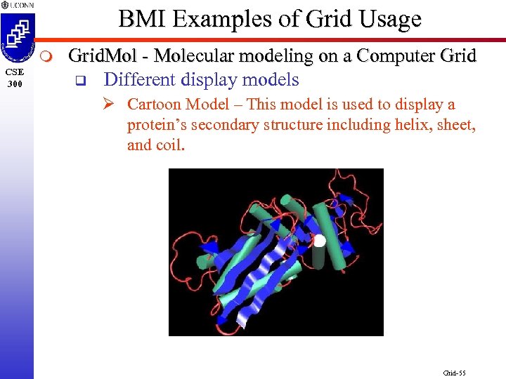 BMI Examples of Grid Usage m CSE 300 Grid. Mol - Molecular modeling on