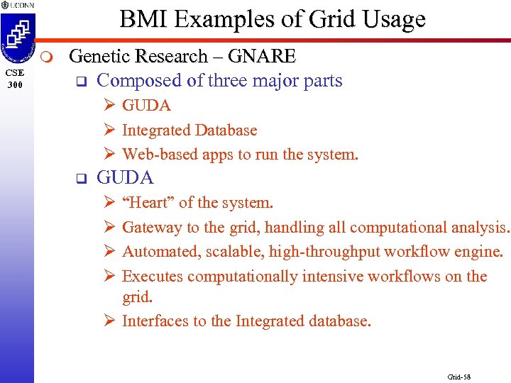 BMI Examples of Grid Usage m CSE 300 Genetic Research – GNARE q Composed