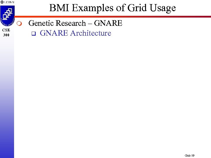 BMI Examples of Grid Usage m CSE 300 Genetic Research – GNARE q GNARE