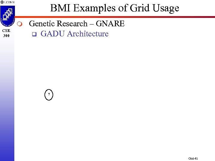 BMI Examples of Grid Usage m CSE 300 Genetic Research – GNARE q GADU