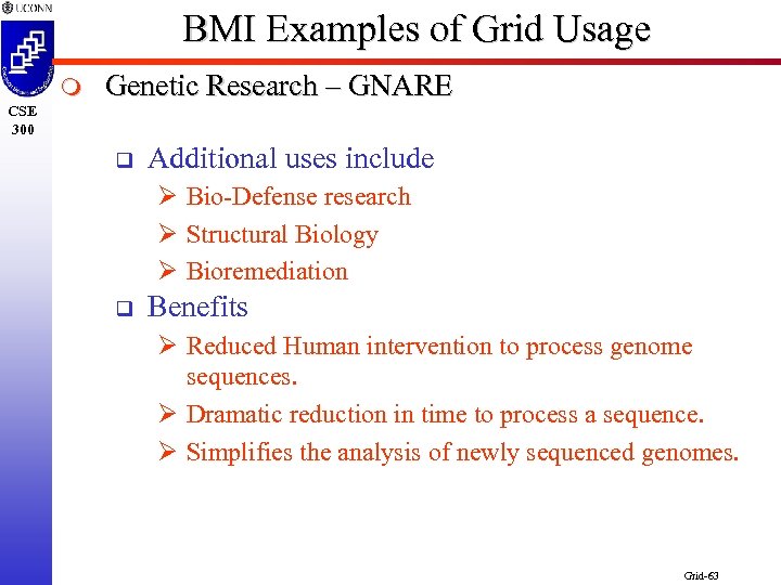 BMI Examples of Grid Usage m CSE 300 Genetic Research – GNARE q Additional