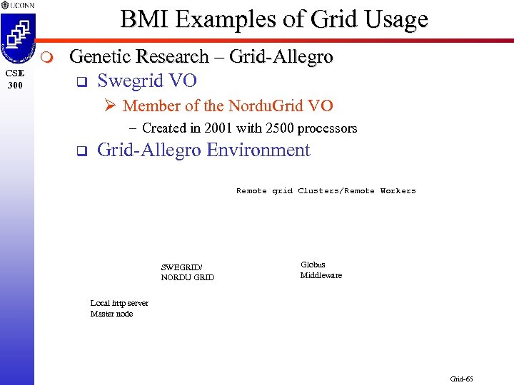 BMI Examples of Grid Usage m CSE 300 Genetic Research – Grid-Allegro q Swegrid