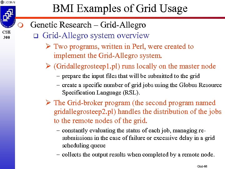 BMI Examples of Grid Usage m CSE 300 Genetic Research – Grid-Allegro q Grid-Allegro