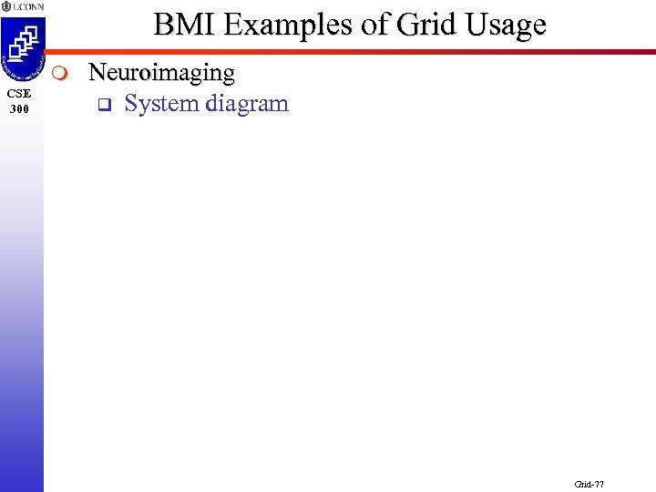 BMI Examples of Grid Usage m CSE 300 Neuroimaging q System diagram Grid-77 