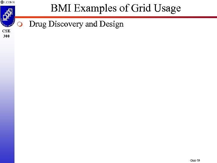 BMI Examples of Grid Usage m CSE 300 Drug Discovery and Design Grid-79 