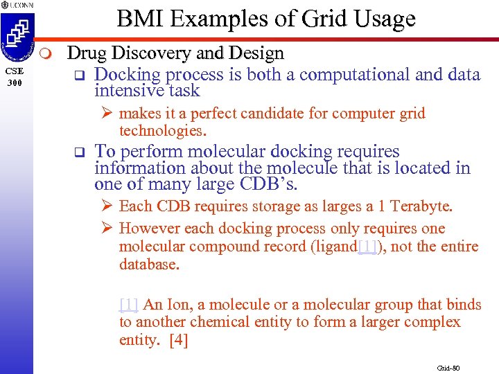 BMI Examples of Grid Usage m CSE 300 Drug Discovery and Design q Docking