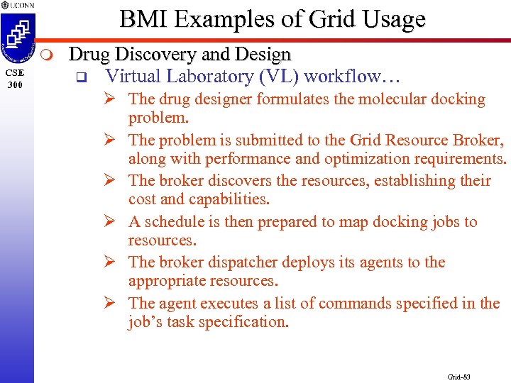 BMI Examples of Grid Usage m CSE 300 Drug Discovery and Design q Virtual