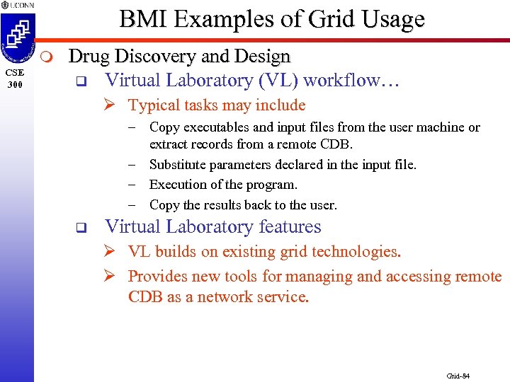 BMI Examples of Grid Usage m CSE 300 Drug Discovery and Design q Virtual