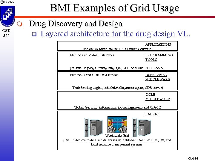 BMI Examples of Grid Usage m CSE 300 Drug Discovery and Design q Layered