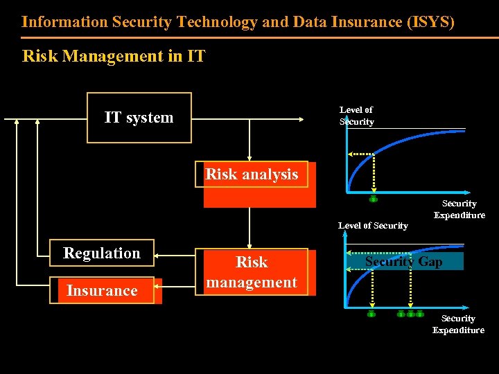 Information Security Technology and Data Insurance (ISYS) Risk Management in IT Level of Security