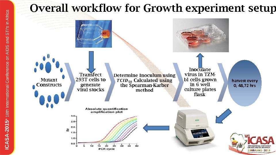 Overall workflow for Growth experiment setup Mutant Constructs Transfect 293 T cells to generate