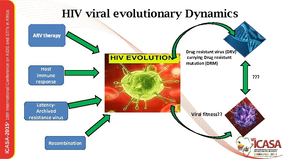HIV viral evolutionary Dynamics ARV therapy Host immune response Latency. Archived resistance virus Recombination