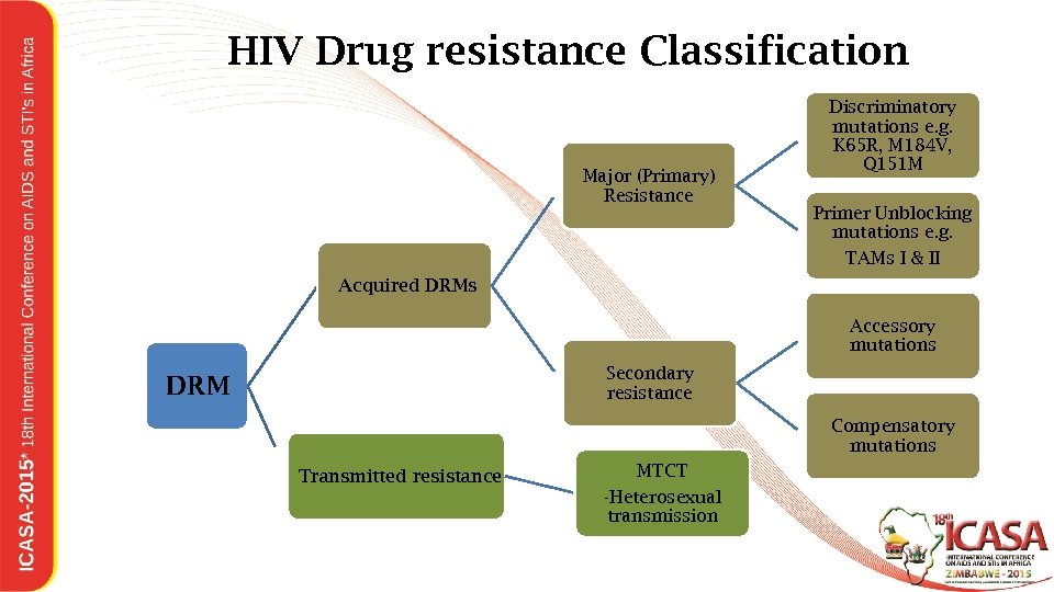 HIV Drug resistance Classification Major (Primary) Resistance Discriminatory mutations e. g. K 65 R,