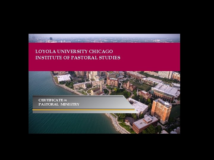 INSTITUTE OF PASTORAL STUDIES LOYOLA UNIVERSITY CHICAGO INSTITUTE OF PASTORAL STUDIES CERTIFICATE in PASTORAL