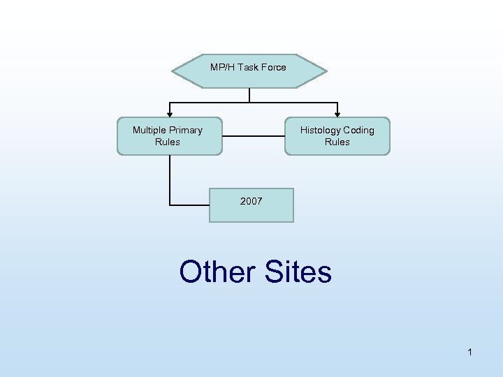 MP/H Task Force Multiple Primary Rules Histology Coding Rules 2007 Other Sites 1 