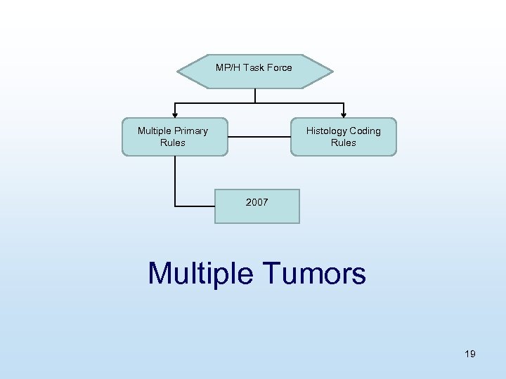 MP/H Task Force Multiple Primary Rules Histology Coding Rules 2007 Multiple Tumors 19 