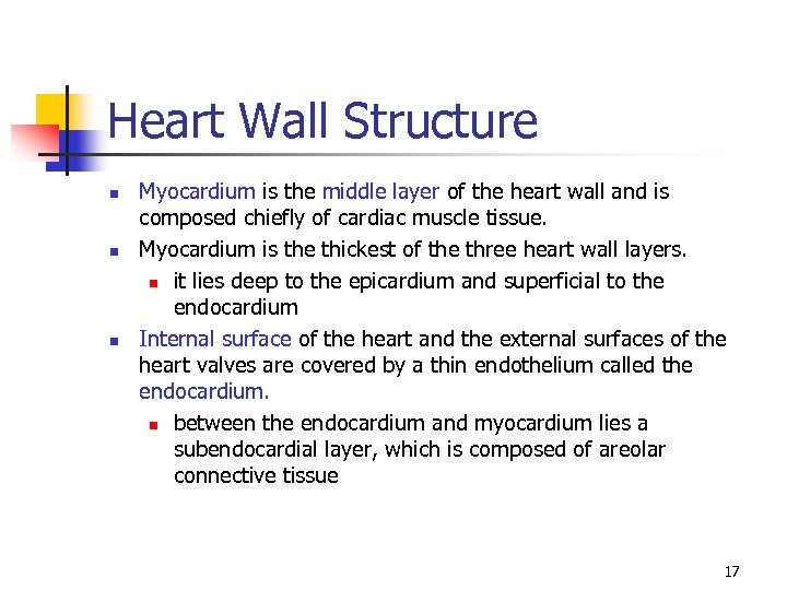 Heart Wall Structure n n n Myocardium is the middle layer of the heart