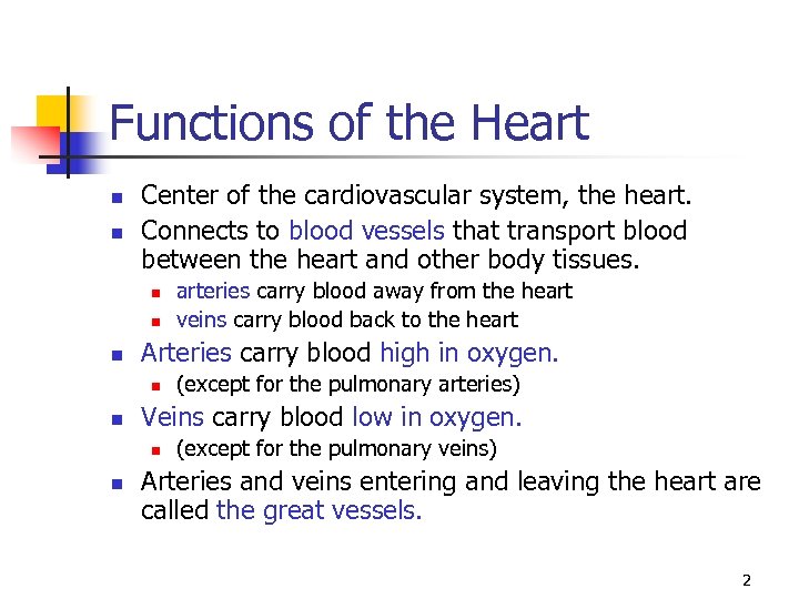 Functions of the Heart n n Center of the cardiovascular system, the heart. Connects