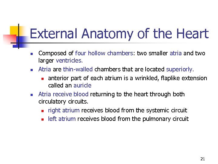External Anatomy of the Heart n n n Composed of four hollow chambers: two