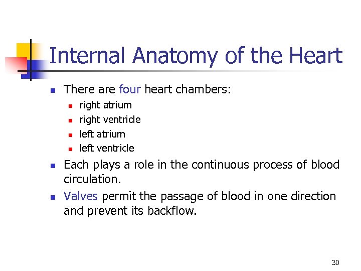 Internal Anatomy of the Heart n There are four heart chambers: n n n