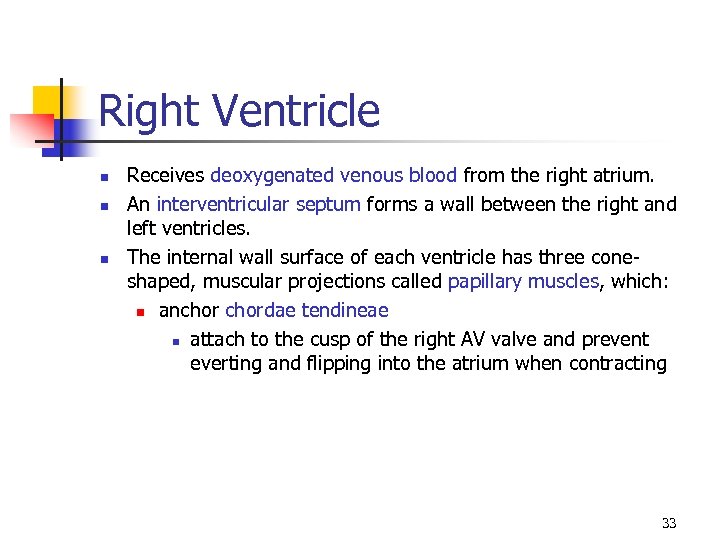 Right Ventricle n n n Receives deoxygenated venous blood from the right atrium. An