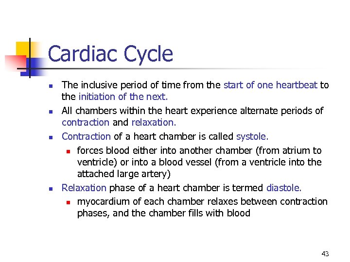 Cardiac Cycle n n The inclusive period of time from the start of one