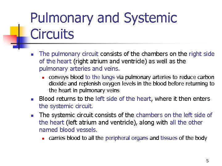 Pulmonary and Systemic Circuits n The pulmonary circuit consists of the chambers on the