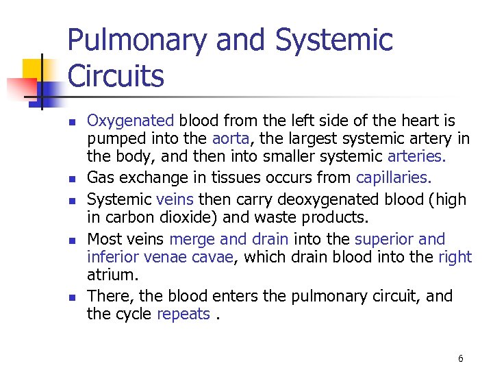 Pulmonary and Systemic Circuits n n n Oxygenated blood from the left side of