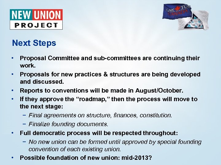 Next Steps • Proposal Committee and sub-committees are continuing their work. • Proposals for